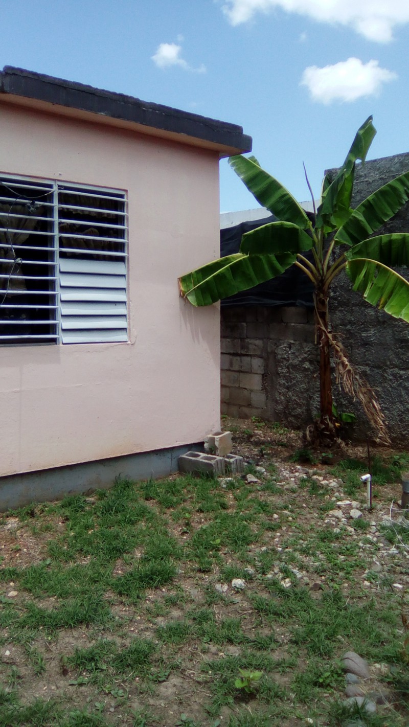 House For Sale in Bushy Park Housing Scheme, Clarendon, Jamaica PropertyAds Jamaica