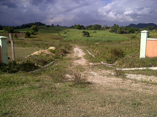 Crofts hill clarendon jamaica Crofts hill clarendon jamaica