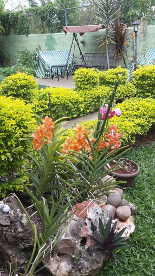 House For Sale in Mercury Gardens, St. Catherine, Jamaica PropertyAds