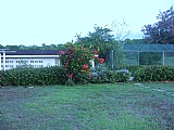 House for Sale, FALMOUTH, Trelawny, Jamaica  - (2)