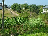 Commercial/farm land  for Sale, Chapelton, Clarendon, Jamaica  - (4)