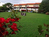 Apartment for Lease/rental, Kingston  St Andrew, Kingston / St. Andrew, Jamaica  - (3)