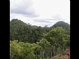 Kempshot Lot  ID 481, St. James, Jamaica - Residential lot for Sale