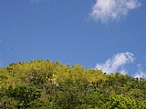 Residential lot for Sale, Albion Estate, St. Thomas, Jamaica  - (1)