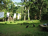 Countryside in parish of Hanover, Hanover, Jamaica - House for Sale