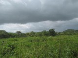 Old Hope, Westmoreland, Jamaica - Other for Sale