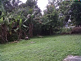 House for Sale, Jacks Hill, Kingston / St. Andrew, Jamaica  - (1)