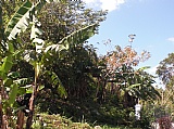 Residential lot for Sale, Red Hills  SALE PENDING, Kingston / St. Andrew, Jamaica  - (1)