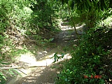 House for Sale, Mckenzie Drive Sunnyside, St. Catherine, Jamaica  - (4)