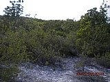 Residential lot for Sale, ALBION HEIGHTS, St. Thomas, Jamaica  - (1)