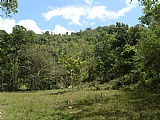 MT Peto Hanover Jamaica, Hanover, Jamaica - Commercial/farm land  for Sale