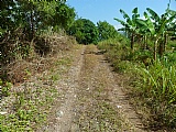 Commercial/farm land  for Sale, Chapelton, Clarendon, Jamaica  - (3)