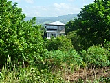 Commercial/farm land  for Sale, Chapelton, Clarendon, Jamaica  - (2)