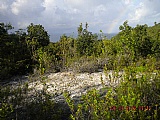 Residential lot for Sale, ALBION HEIGHTS, St. Thomas, Jamaica  - (1)