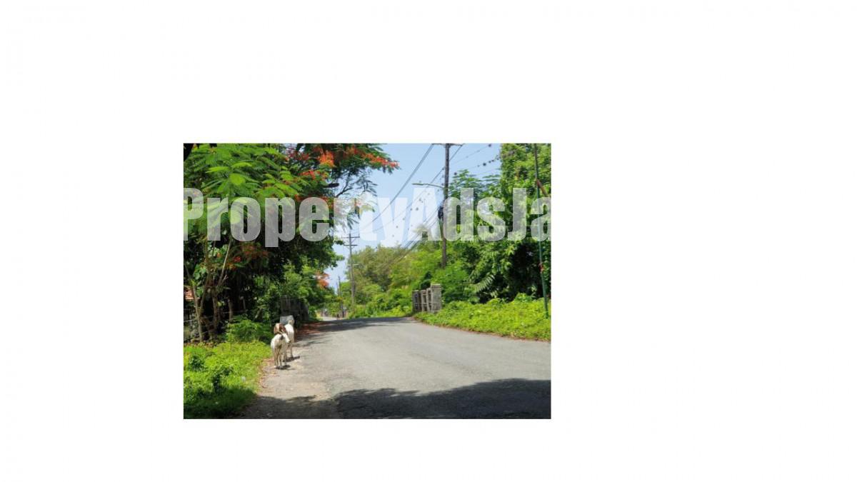 Residential lot For Sale in Kildare Buff Bay, Portland Jamaica