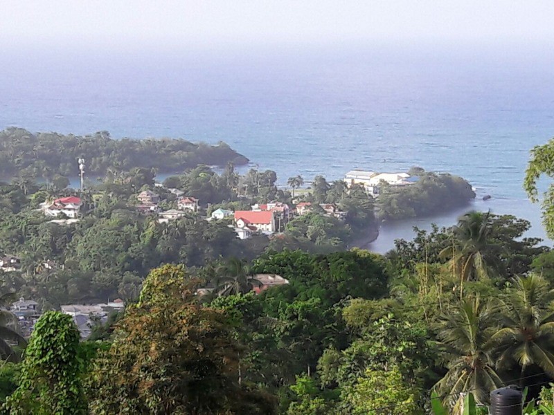Commercial/farm land For Sale in Port Antonio, Portland Jamaica