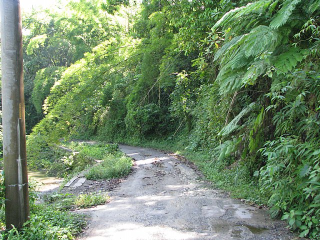 Commercial/farm land For Sale in Riversdale St Catherine ...