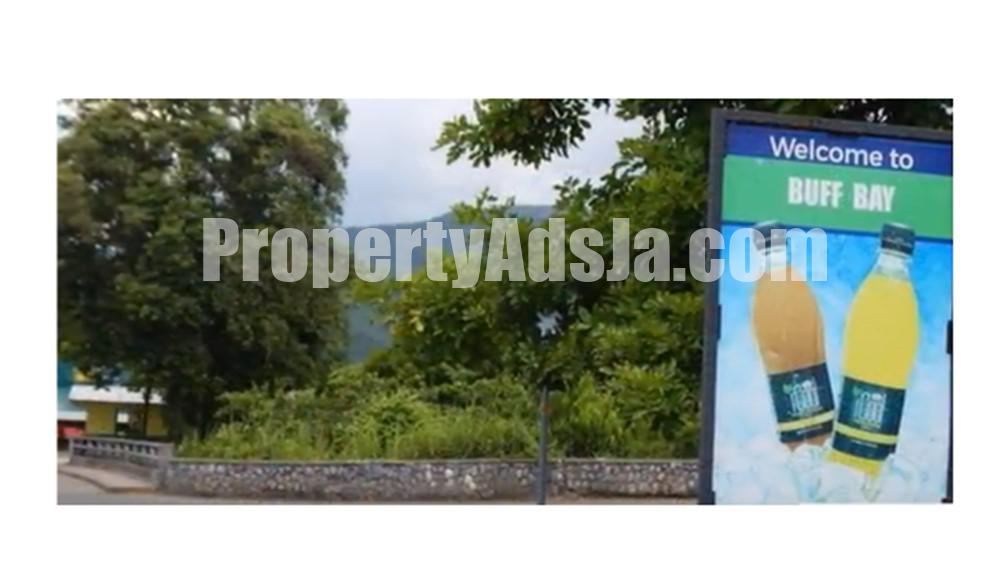 Commercial/farm land For Sale in Mullet Farm, Portland Jamaica