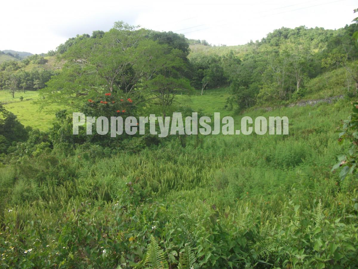 Commercial/farm land For Rent in BRITONVILLECLAREMONT, St. Ann Jamaica