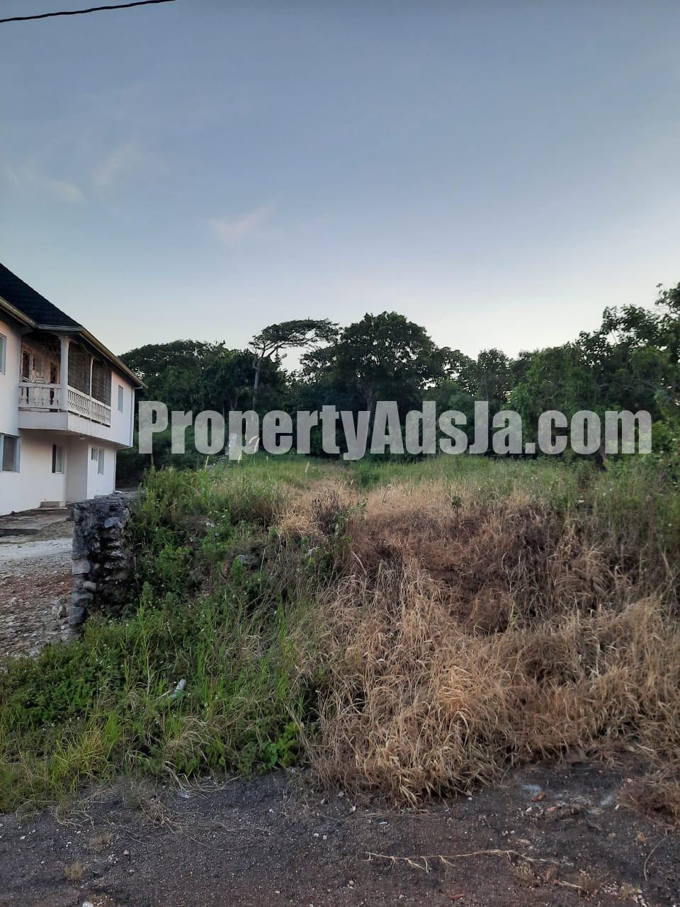 Residential lot For Sale in 6 Waltham Mandeville, Manchester Jamaica