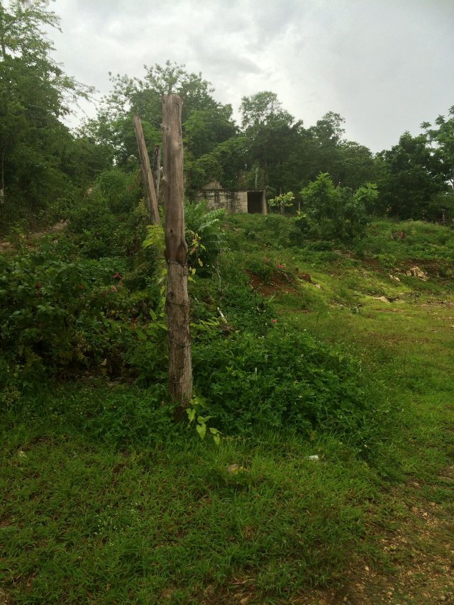 Residential lot For Sale in Balaclava, St. Elizabeth Jamaica