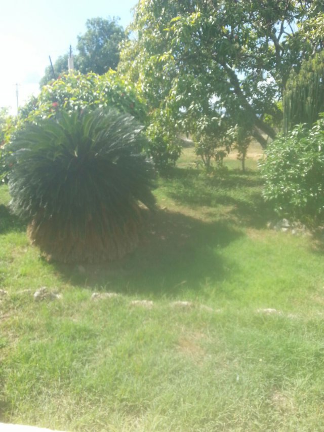 House For Rent in Four Paths, Clarendon Jamaica