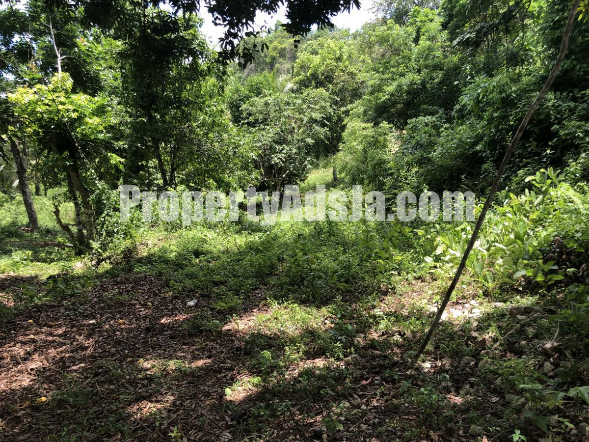 Commercial/farm land For Sale in Dover Castle Redwood St Catherine, St. Catherine Jamaica