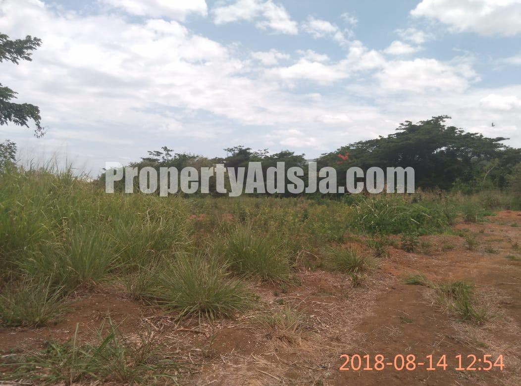 Commercial/farm land For Sale in May Pen, Clarendon Jamaica