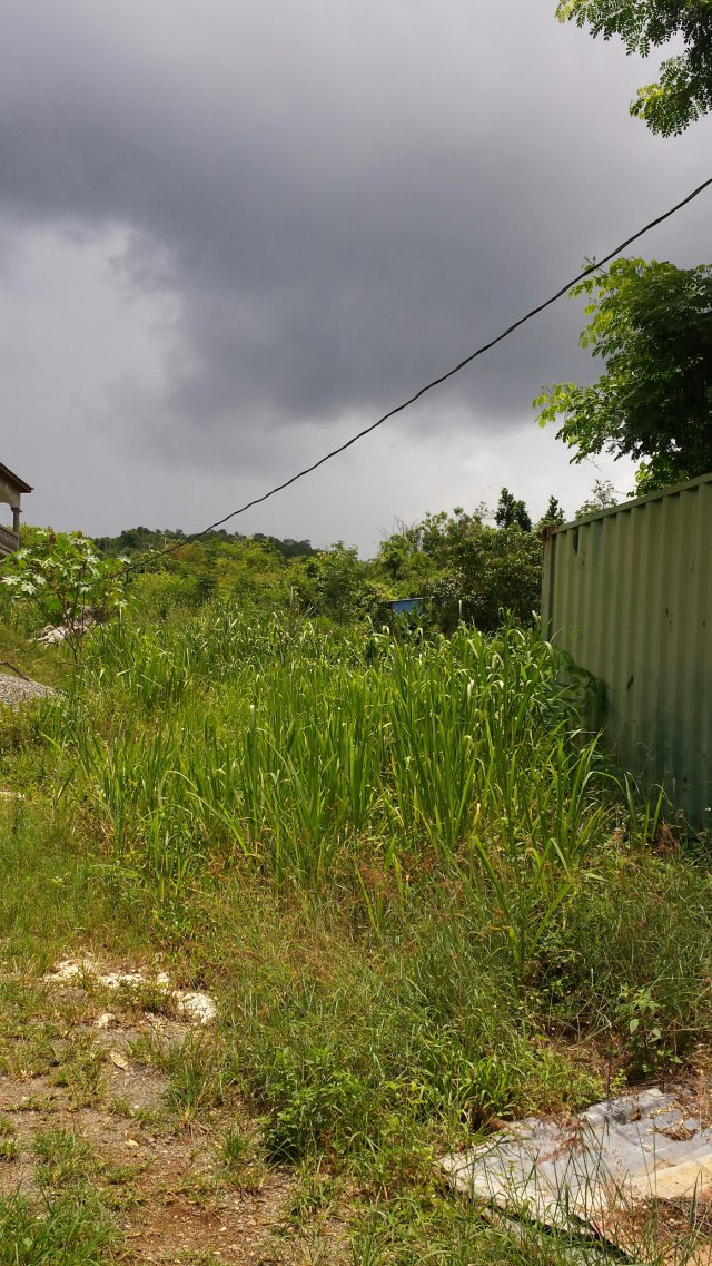 Residential lot For Sale in Belvedere, Kingston / St. Andrew Jamaica