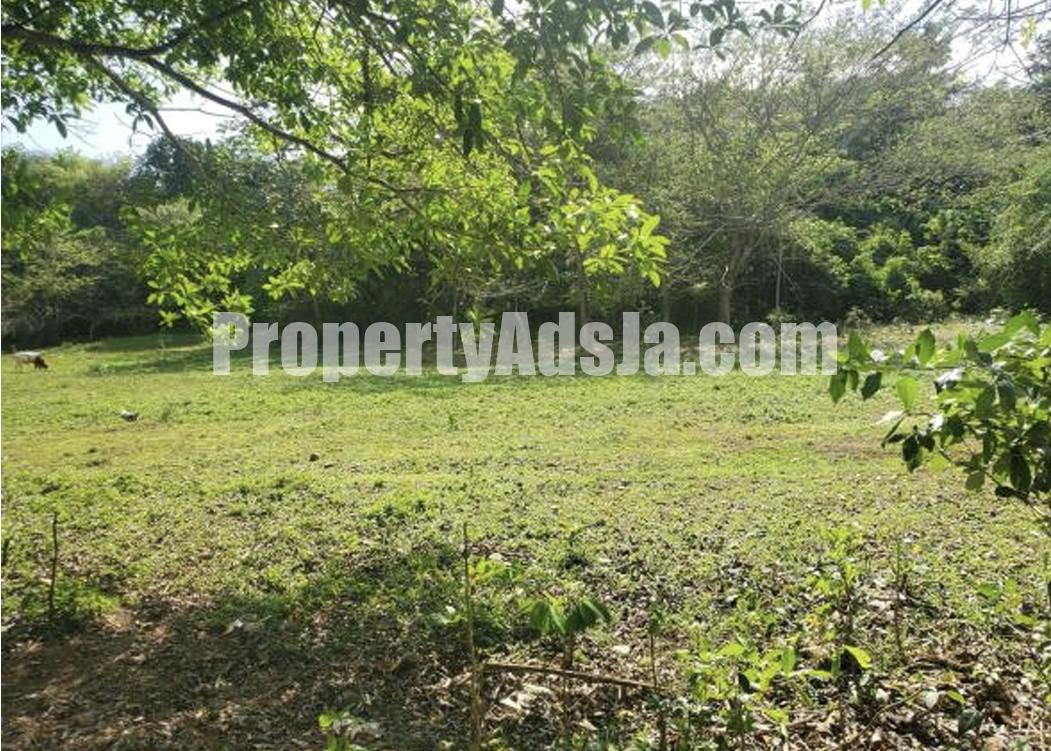 Residential lot For Sale in Bogue, St. Elizabeth Jamaica