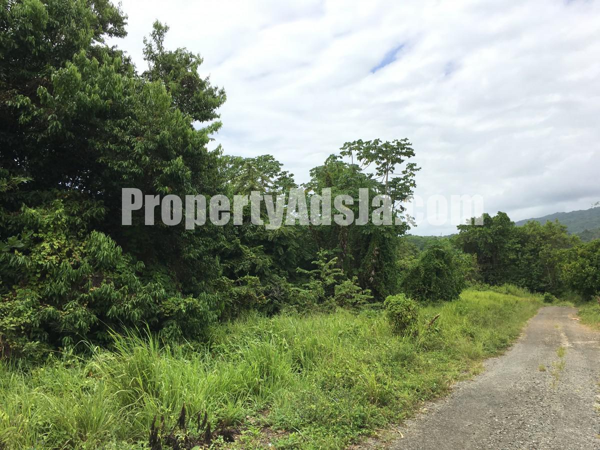 Residential lot For Sale in Fairy Hill, Portland Jamaica