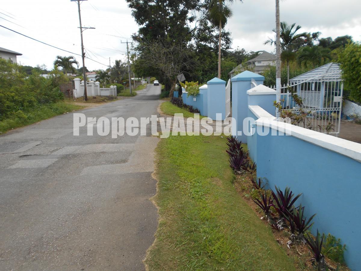 Land For Sale in Mandeville, Manchester Jamaica