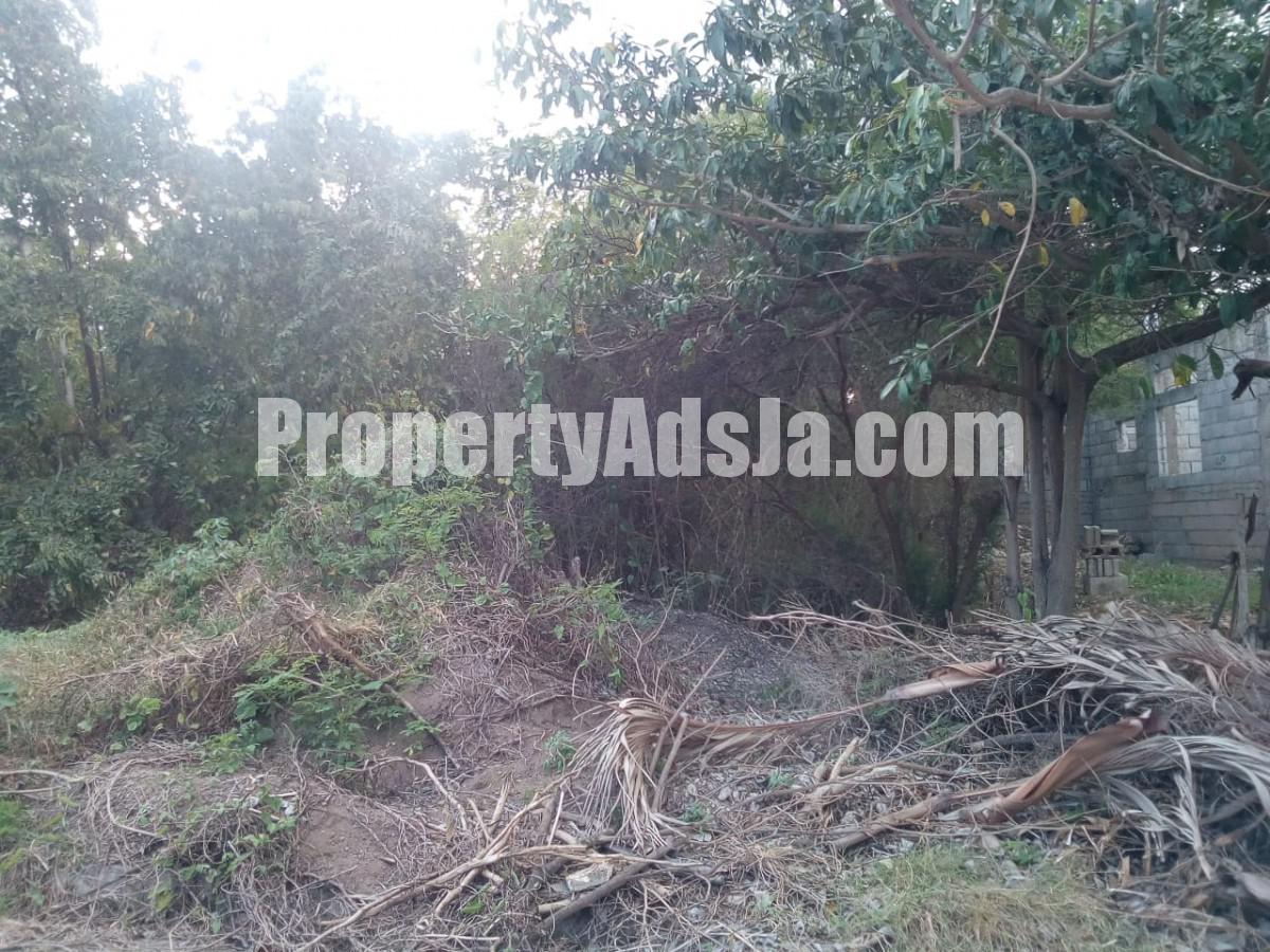 Residential lot For Sale in LONGVILLE PARK, Clarendon Jamaica