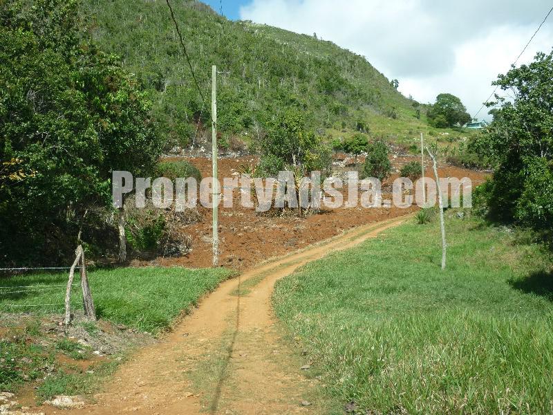 Residential lot For Sale in Contrivance, Manchester Jamaica