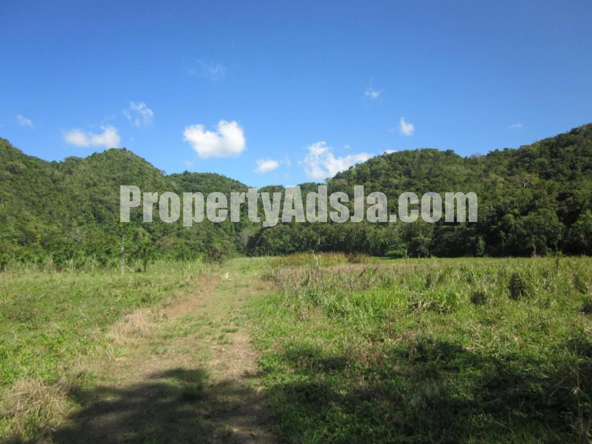 Commercial/farm land For Sale in Burnt Savannah, Westmoreland Jamaica
