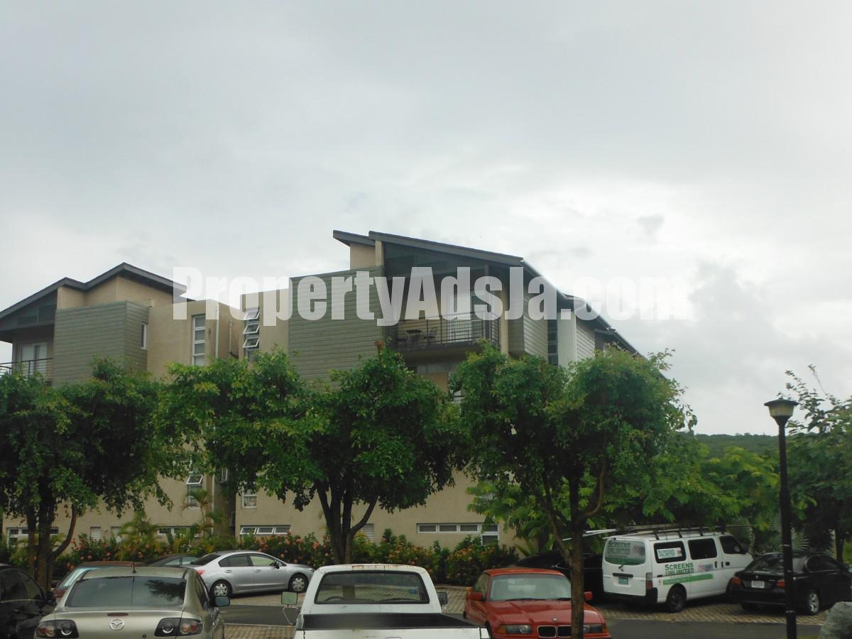 Apartment For Rent in Mona, Kingston / St. Andrew Jamaica