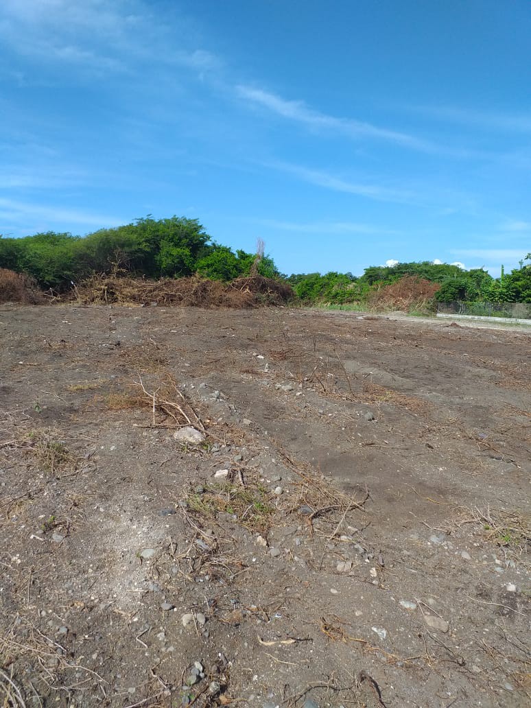 Residential lot For Sale in Albion Estate, St. Thomas Jamaica