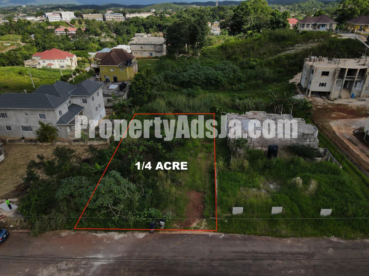Land For Sale in Mandeville, Manchester Jamaica