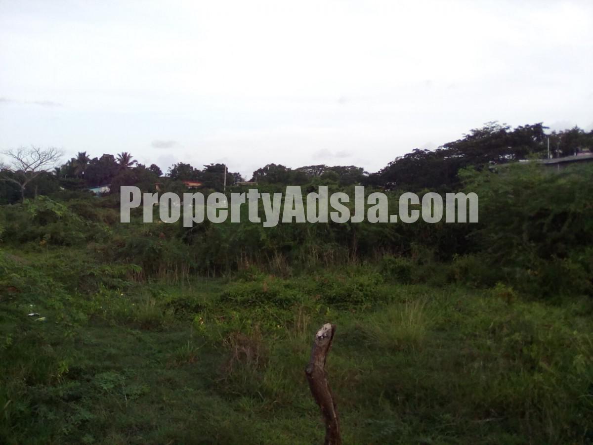 Residential lot For Sale in May Pen, Clarendon Jamaica