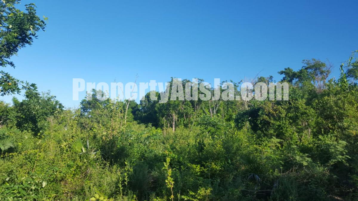 Residential lot For Sale in ALBION HEIGHTS, St. Thomas Jamaica