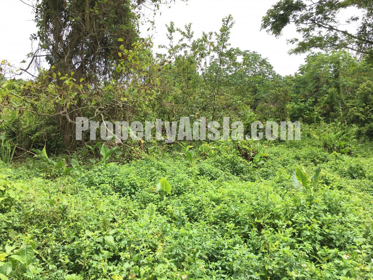 Residential lot For Sale in Fairy Hill, Portland Jamaica