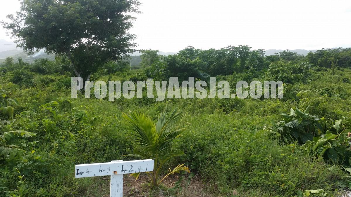 Residential lot For Sale in Fairy Hill, Portland Jamaica