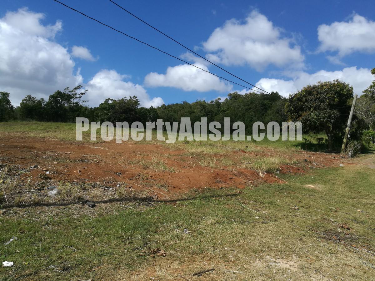 Commercial/farm land For Rent in Kingsland, Manchester Jamaica