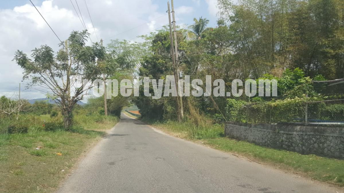 Commercial/farm land For Sale in Linstead, St. Catherine Jamaica