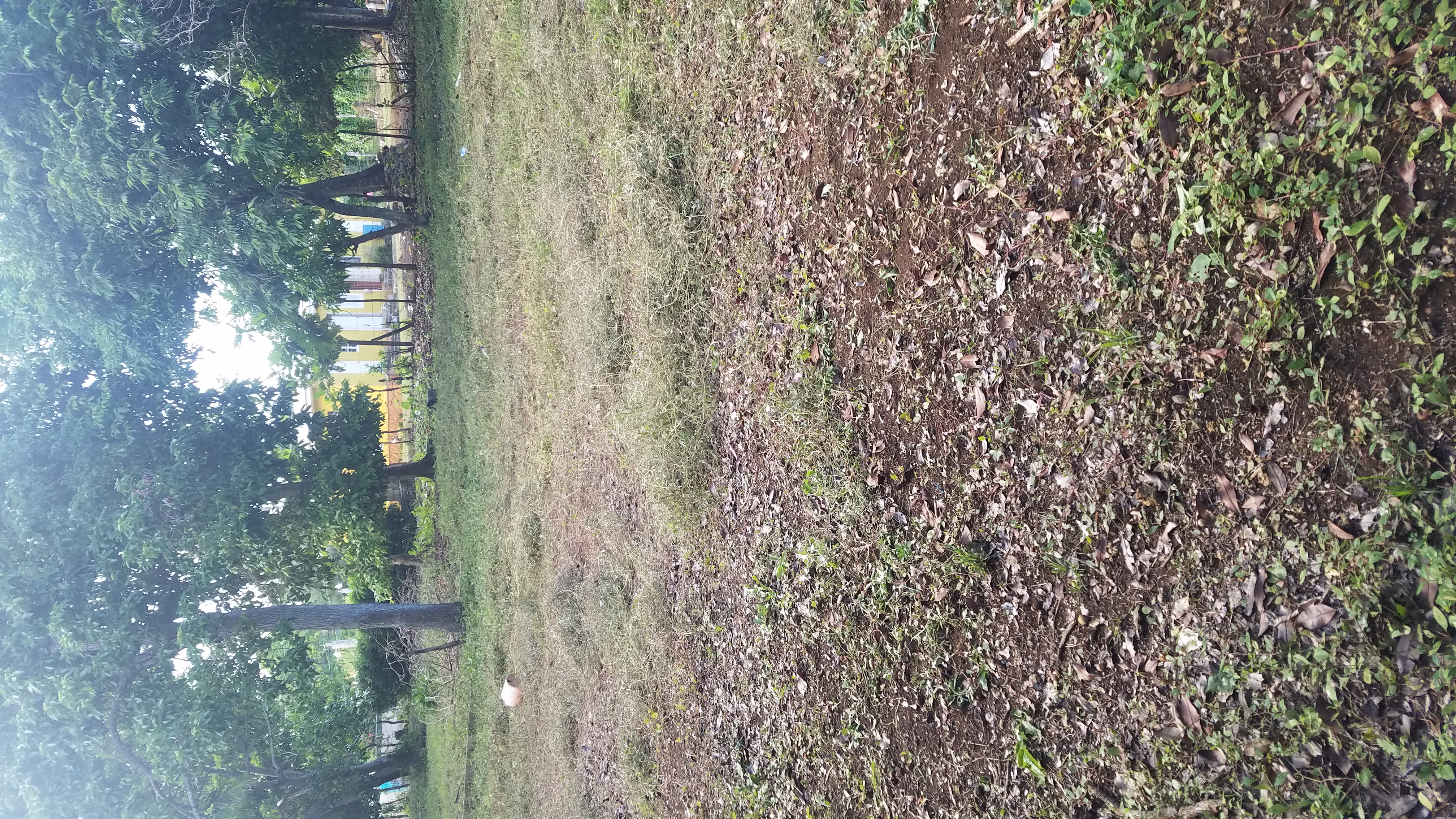 House For Sale in Great Pond, St. Ann Jamaica