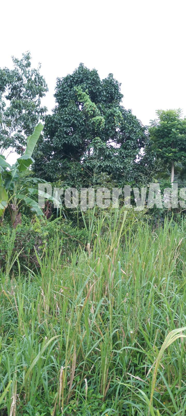 Residential lot For Sale in Padmore Red Hills, Kingston / St. Andrew