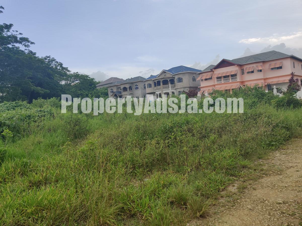 Residential lot For Sale in Lot 205 Olive Park, St. Elizabeth Jamaica