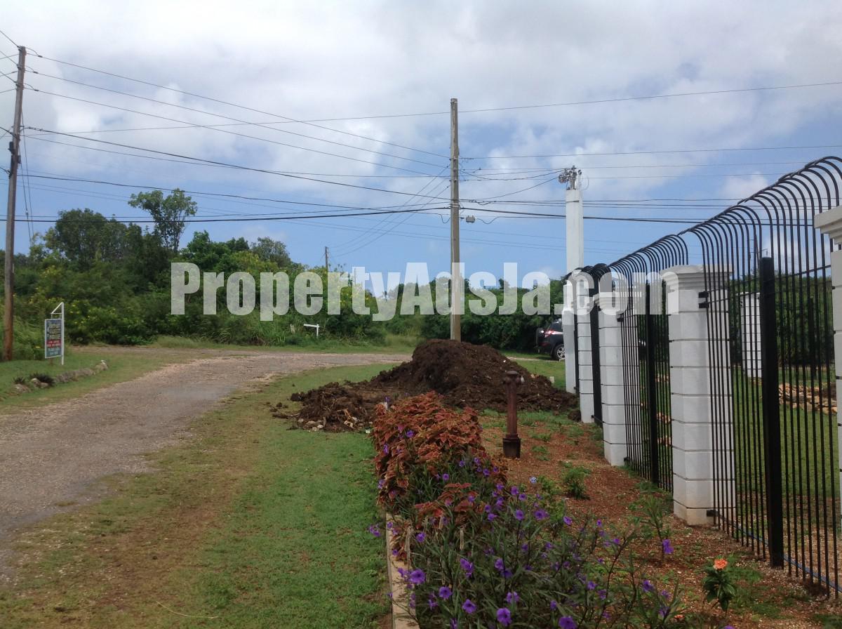Residential lot For Sale in Falmouth, Trelawny Jamaica