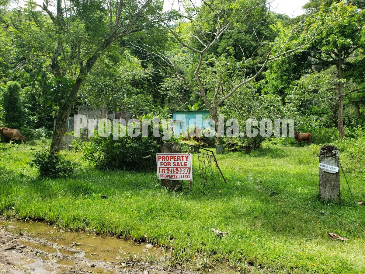 Land For Sale in Frankfield, Clarendon Jamaica