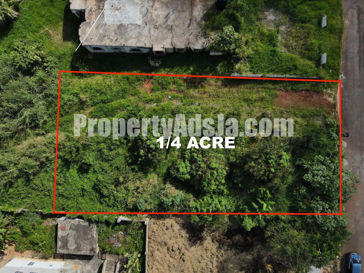 Land For Sale in Mandeville, Manchester Jamaica